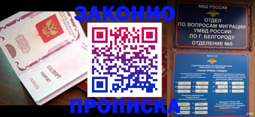 временная регистрация для школы в Курской области